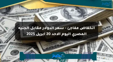 انخفاض مفاجئ – سعر الدولار مقابل الجنيه المصري اليوم الأحد 20 أبريل 2025